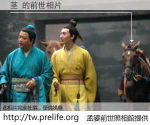 茎 的前世相片