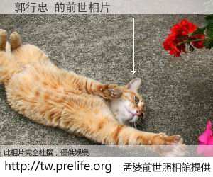 郭行忠 的前世相片
