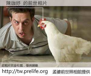 陳珈妤 的前世相片