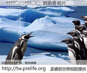 ????��???�� 的前世相片