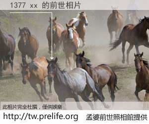 1377 xx 的前世相片