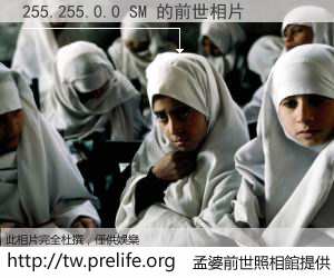 255.255.0.0 SM 的前世相片