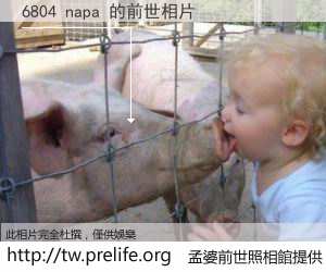 6804 napa 的前世相片