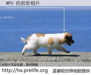 MPU 的前世相片