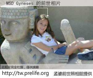MSD Gyneses 的前世相片