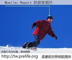 Mueller Report 的前世相片