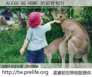 ALEXA GG HOME 的前世相片