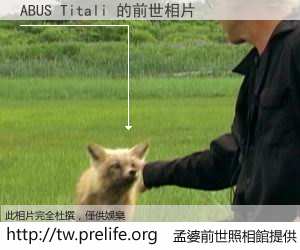 ABUS Titali 的前世相片