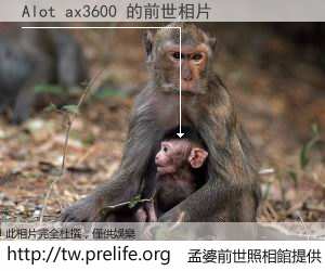 Alot ax3600 的前世相片