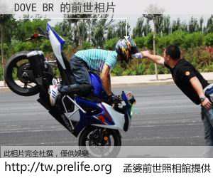 DOVE BR 的前世相片