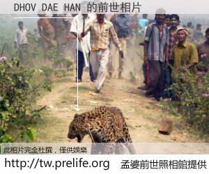 DHOV DAE HAN 的前世相片