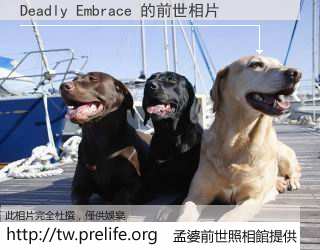 Deadly Embrace 的前世相片