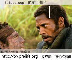 Estetoscopi 的前世相片