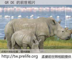 GR DE 的前世相片