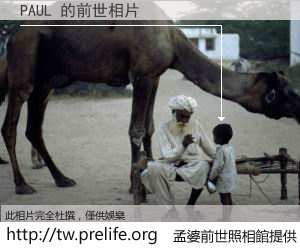 PAUL 的前世相片