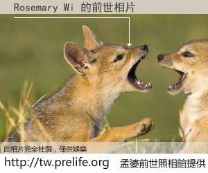 Rosemary Wi 的前世相片