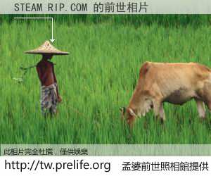 STEAM RIP.COM 的前世相片
