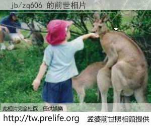 jb/zq606 的前世相片