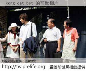 kong cat bet 的前世相片