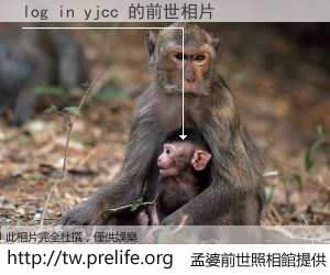 log in yjcc 的前世相片