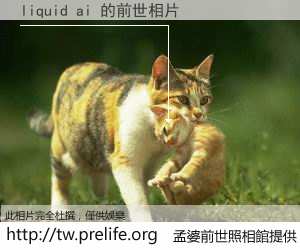 liquid ai 的前世相片