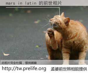 mars in latin 的前世相片