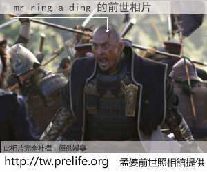 mr ring a ding 的前世相片