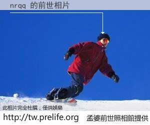 nrqq 的前世相片