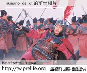 numero de c 的前世相片