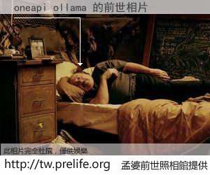 oneapi ollama 的前世相片