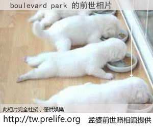boulevard park 的前世相片
