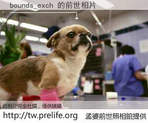 bounds_exch 的前世相片