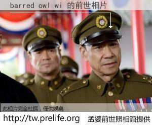 barred owl wi 的前世相片