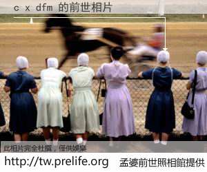 c x dfm 的前世相片