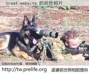 creat website 的前世相片