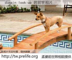 domain look up 的前世相片