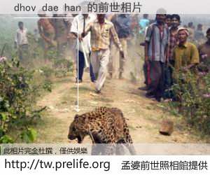 dhov dae han 的前世相片