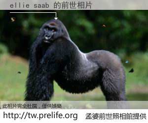 ellie saab 的前世相片