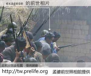 exagese 的前世相片
