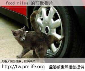 food miles 的前世相片