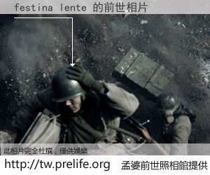 festina lente 的前世相片