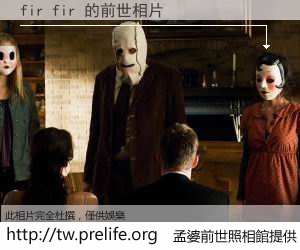 fir fir 的前世相片