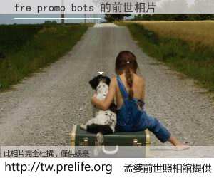 fre promo bots 的前世相片