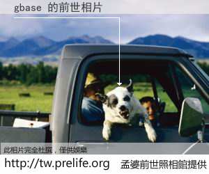 gbase 的前世相片