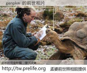 genpkm 的前世相片
