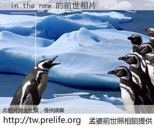 in the new 的前世相片