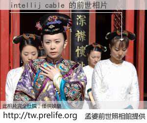 intellij cable 的前世相片