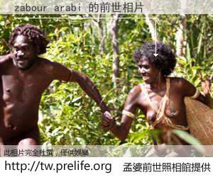 zabour arabi 的前世相片