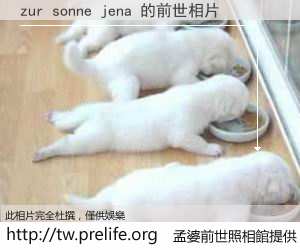 zur sonne jena 的前世相片