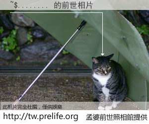 ~$........ 的前世相片